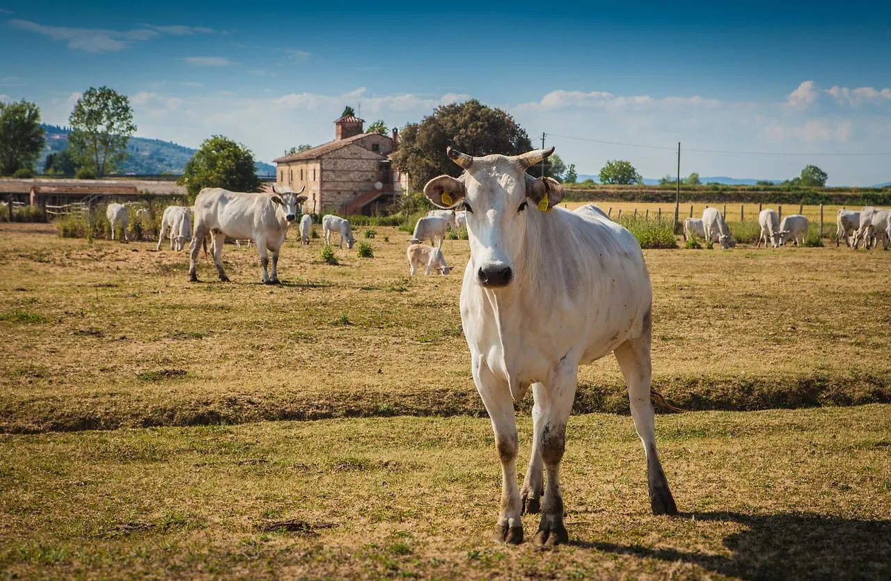 Farm stay Tenuta La Fratta Sinalunga